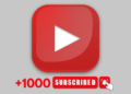 From Zero to 1k Subscribers: A Comprehensive Step-by-Step Guide